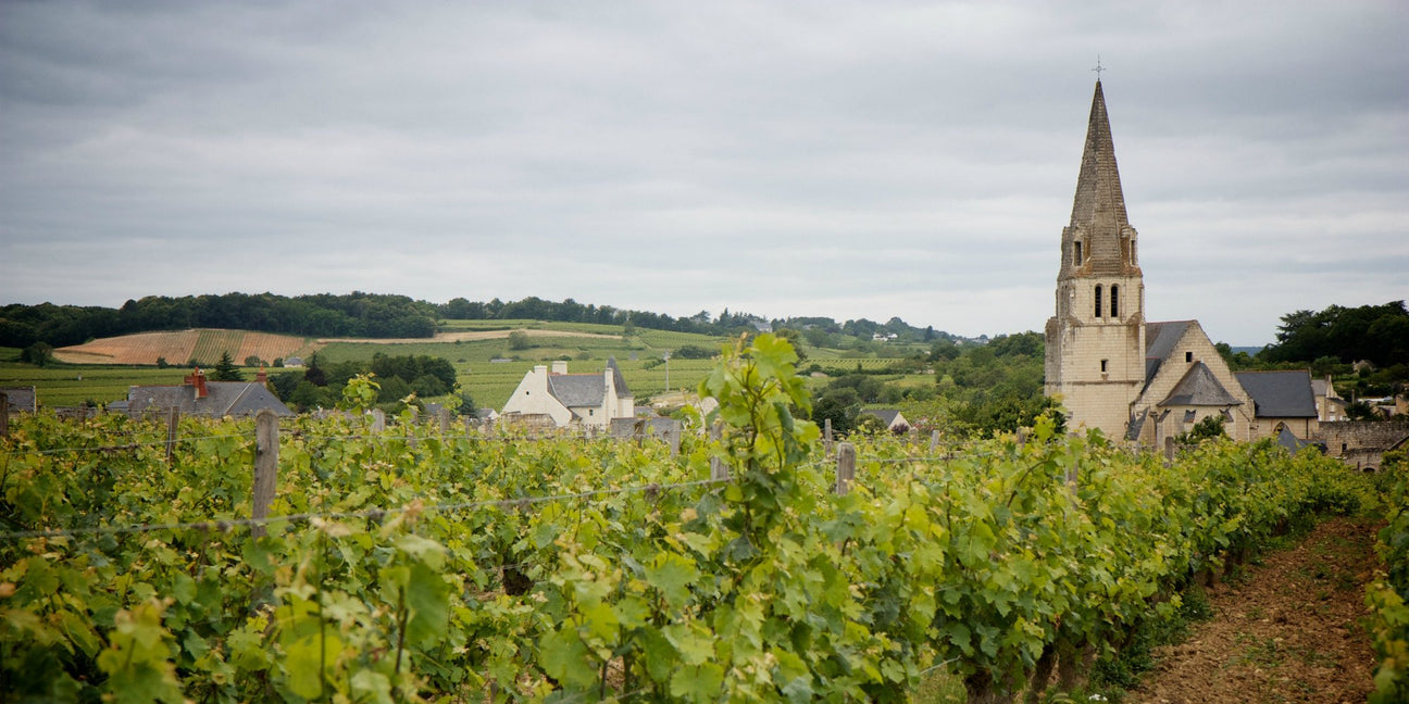 Loire Valley - De Wine Spot | DWS - Drams/Whiskey, Wines, Sake
