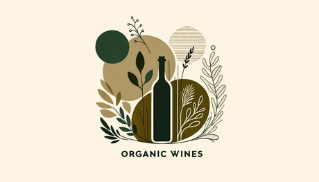 Organic Wines Collection - De Wine Spot | DWS - Drams/Whiskey, Wines, Sake