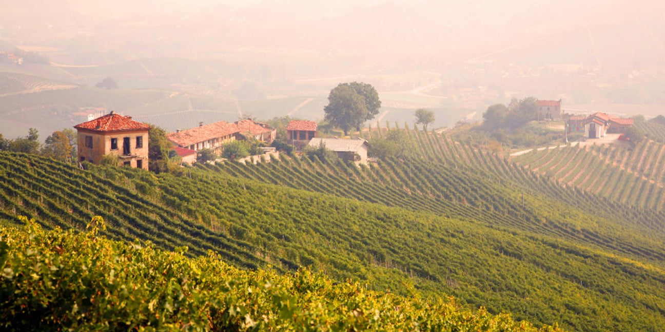 Italy - De Wine Spot | DWS - Drams/Whiskey, Wines, Sake