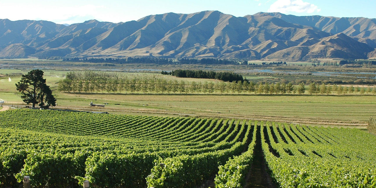 New Zealand - De Wine Spot | DWS - Drams/Whiskey, Wines, Sake
