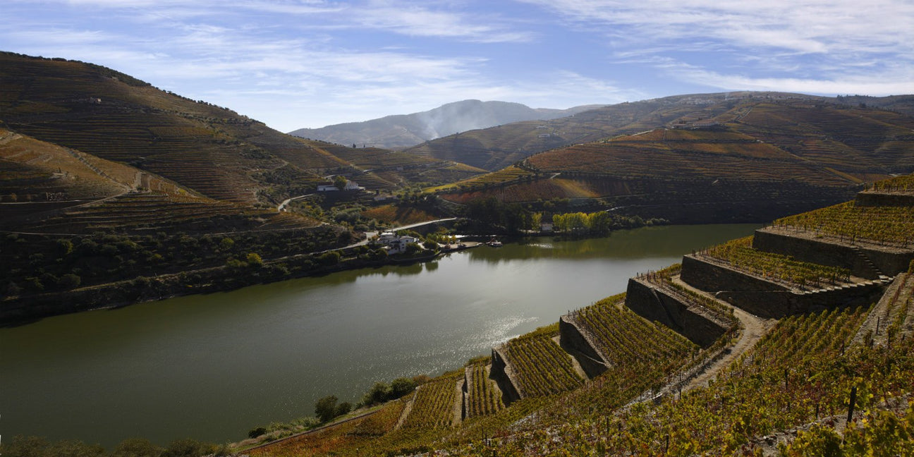 Portugal - De Wine Spot | DWS - Drams/Whiskey, Wines, Sake