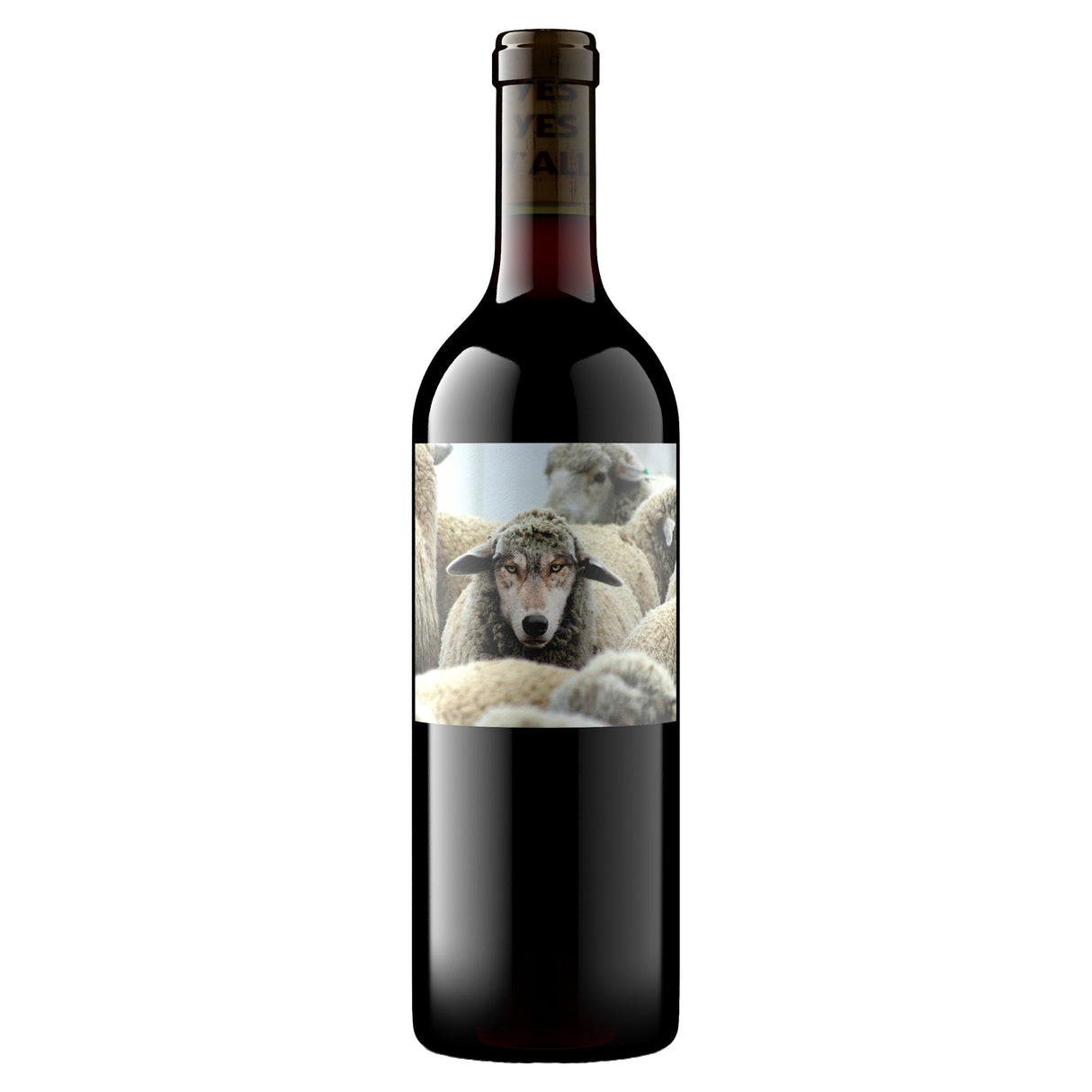 Maison Noir In Sheep's Clothing Cabernet Sauvignon | Free Shipping on orders $400+