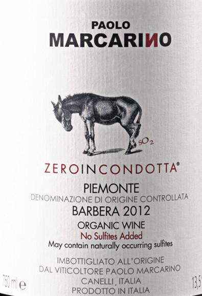 Paolo Marcarino Zero In Condotta Piemonte Barbera d'Asti | Free Shipping on orders $400+