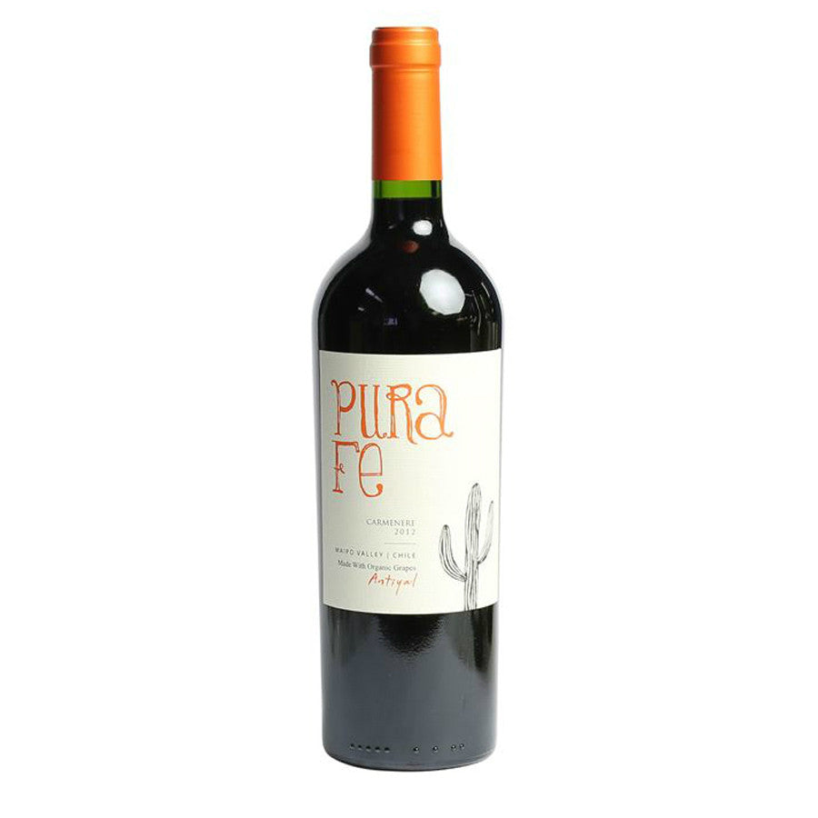 Antiyal Pura Fe Valle del Maipo Cabernet Sauvignon | Free Shipping on orders $400+
