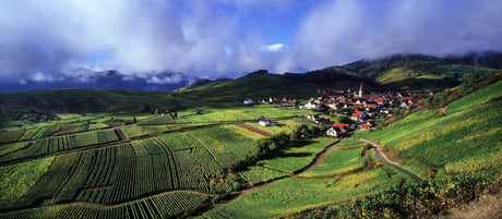 Alsace - De Wine Spot | DWS - Drams/Whiskey, Wines, Sake