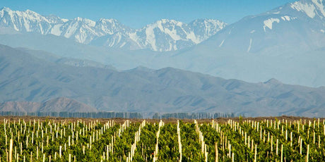 Argentina - De Wine Spot | DWS - Drams/Whiskey, Wines, Sake