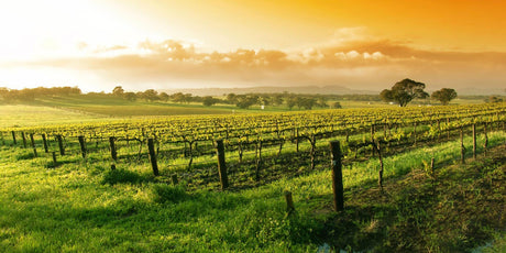 Australia - De Wine Spot | DWS - Drams/Whiskey, Wines, Sake