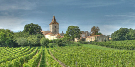 Bordeaux - De Wine Spot | DWS - Drams/Whiskey, Wines, Sake