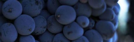 Cabernets & Merlots - De Wine Spot | DWS - Drams/Whiskey, Wines, Sake