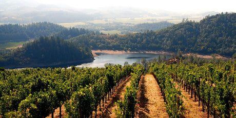 California - De Wine Spot | DWS - Drams/Whiskey, Wines, Sake