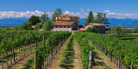 Friuli-Venezia Giulia - De Wine Spot | DWS - Drams/Whiskey, Wines, Sake