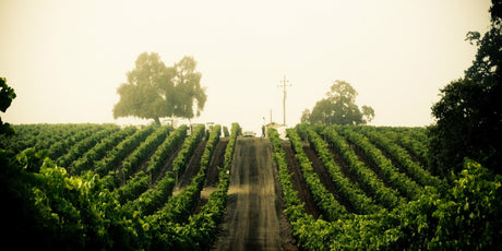 New York - De Wine Spot | DWS - Drams/Whiskey, Wines, Sake