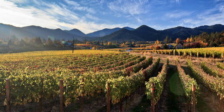 Oregon - De Wine Spot | DWS - Drams/Whiskey, Wines, Sake