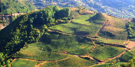 Other Regions - De Wine Spot | DWS - Drams/Whiskey, Wines, Sake