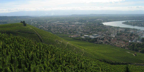Rhone Valley - De Wine Spot | DWS - Drams/Whiskey, Wines, Sake