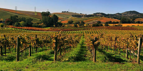 USA - De Wine Spot | DWS - Drams/Whiskey, Wines, Sake