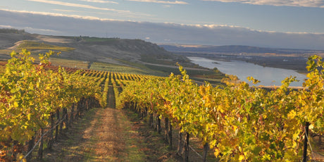 Washington - De Wine Spot | DWS - Drams/Whiskey, Wines, Sake