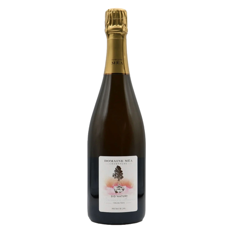Domaine Guy Mea Sig'Nature Cote des Noirs Premier Cru Champagne | Free Shipping on orders $400+