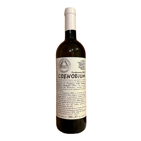 Monastero Suore Cistercensi Coenobium Lazio Blanco | Free Shipping on orders $400+