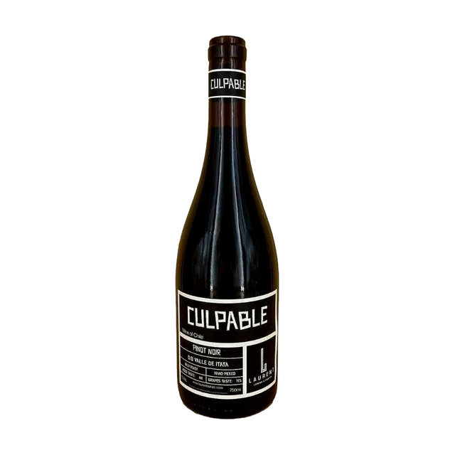 Vina Laurent Culpable Valley Aconcagua Pinot Noir | Free Shipping on orders $400+