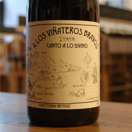 A Los Vinateros Bravos Canto a Lo Divino Cinsault - De Wine Spot | DWS - Drams/Whiskey, Wines, Sake