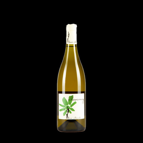 Herve Villemade Cheverny Blanc - De Wine Spot | DWS - Drams/Whiskey, Wines, Sake